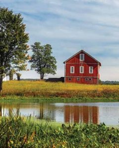 Farm Pond Maintenance Image